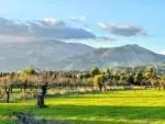 Country plot for sale in Selva — photo 2