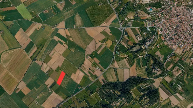 Developable Estate in Sant Joan — photo 1