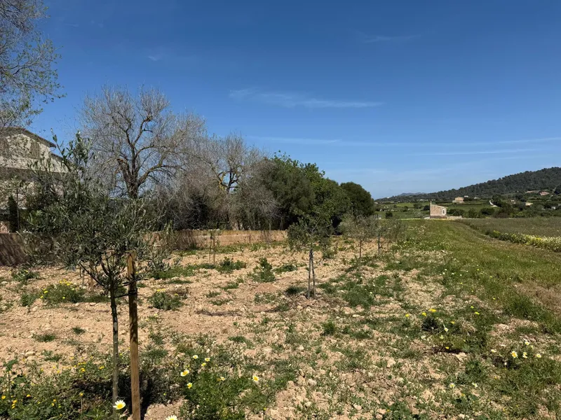 Rustic finca with project and building permits — photo 11