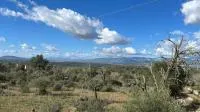 Rustic Land - Costitx, Plot Surface 60138m² — photo 4