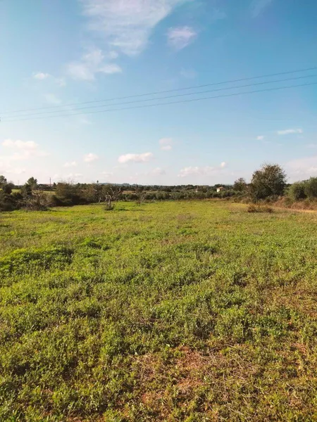 Plot in Llubí of about 3897 m² — photo 2