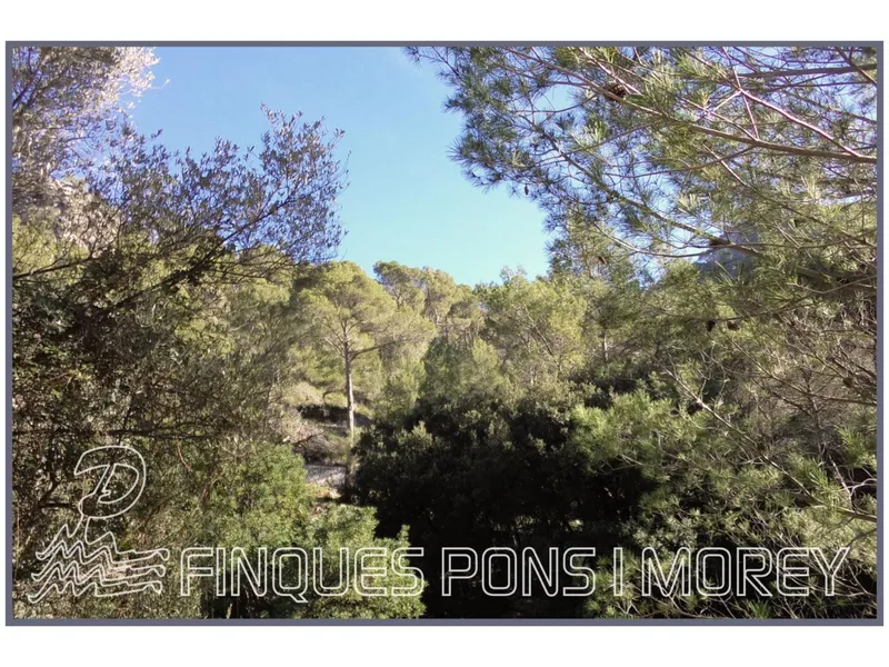 Land - Ref. [redacted] — photo 2