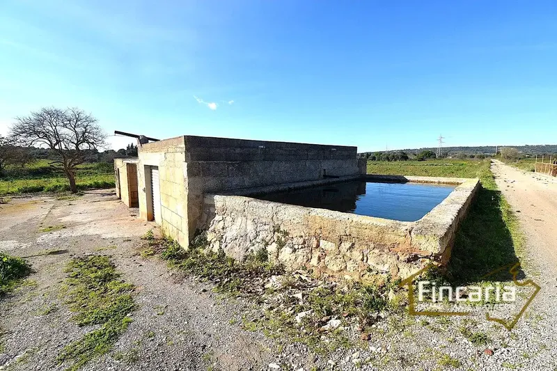 Sensational agricultural warehouse in perfect condition located in the Son Llunes area, 2.5 km from Manacor. Warehouse of 85 m — photo 4