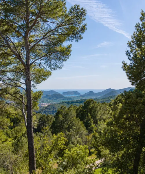 Finca with views over the port and holiday rental licence in Andratx — photo 2