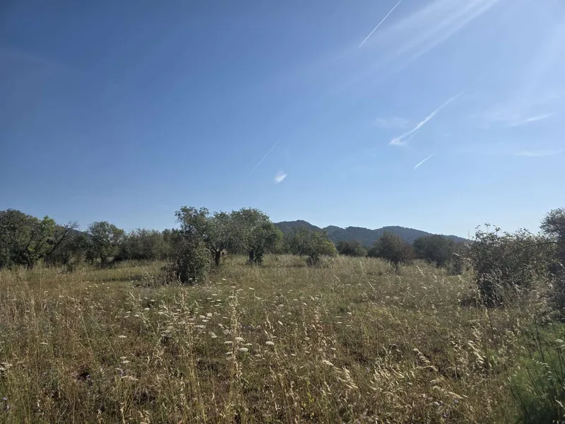 Exclusive building plot with panoramic views — photo 3