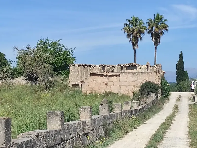 Fantastic Estate of 17,700m2 for Sale with Project for a 290m2 Single-Family Home in the Municipality of Sineu — photo 1