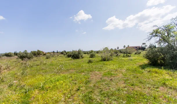 Sea-view plot just 10 minutes from Porto Cristo — photo 7