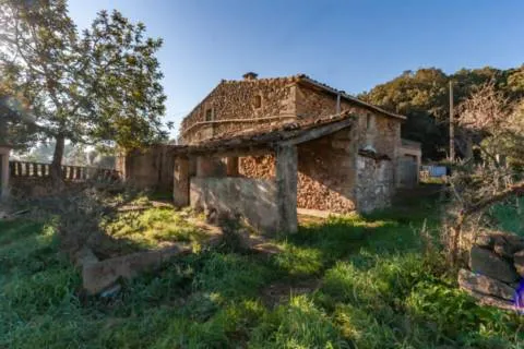 Detached house — photo 1