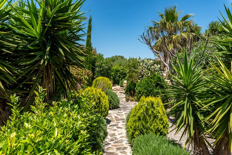Dream villa with pool and adjacent building plot with Mediterranean garden — photo 7