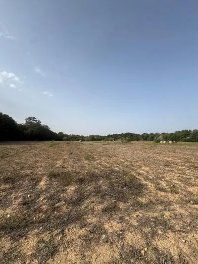 Rural Land - Sineu, Plot Surface 21,300 m² — photo 12