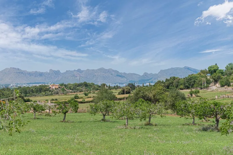 Close to all amenities plot for sale in Alcudia — photo 5