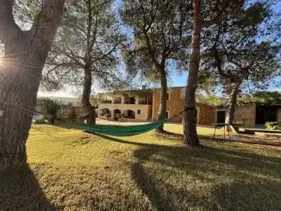 Luxury rustic estate with 2 houses, pools and 18 ha in Manacor — photo 12