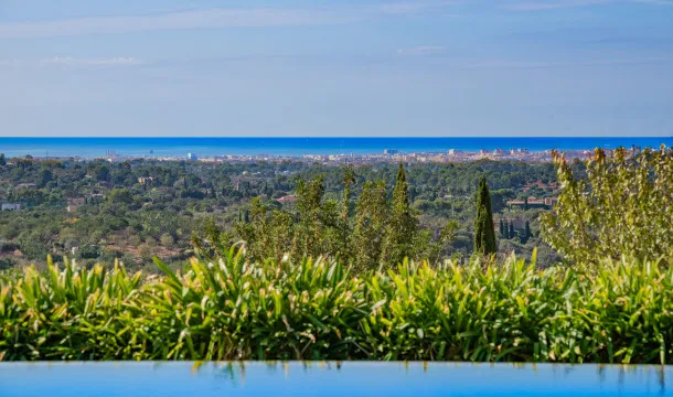 An Exclusive Estate in Santa Maria: Privacy, Tradition, and Contemporary Comfort — photo 4