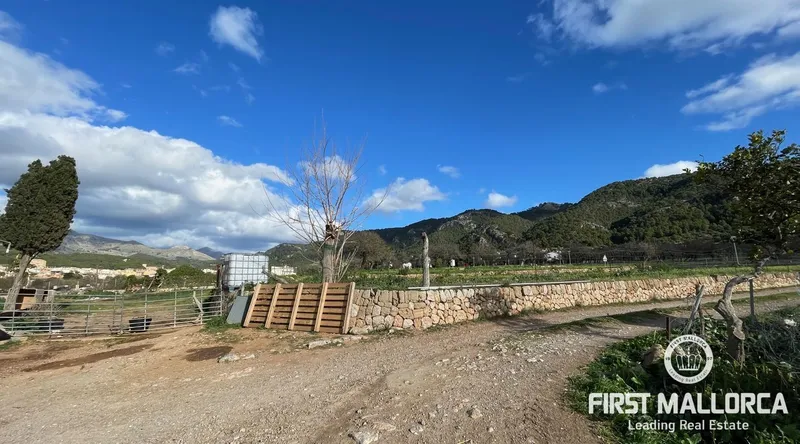 Country estate for renovation between the village and the port of Andratx — photo 10