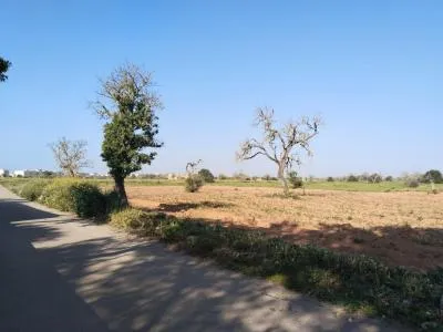 Rural Land - Campos, Plot Surface 2406m² — photo 6