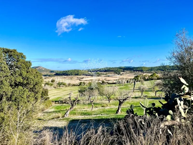 Villa in Sineu, Province of Balearic Islands — photo 3