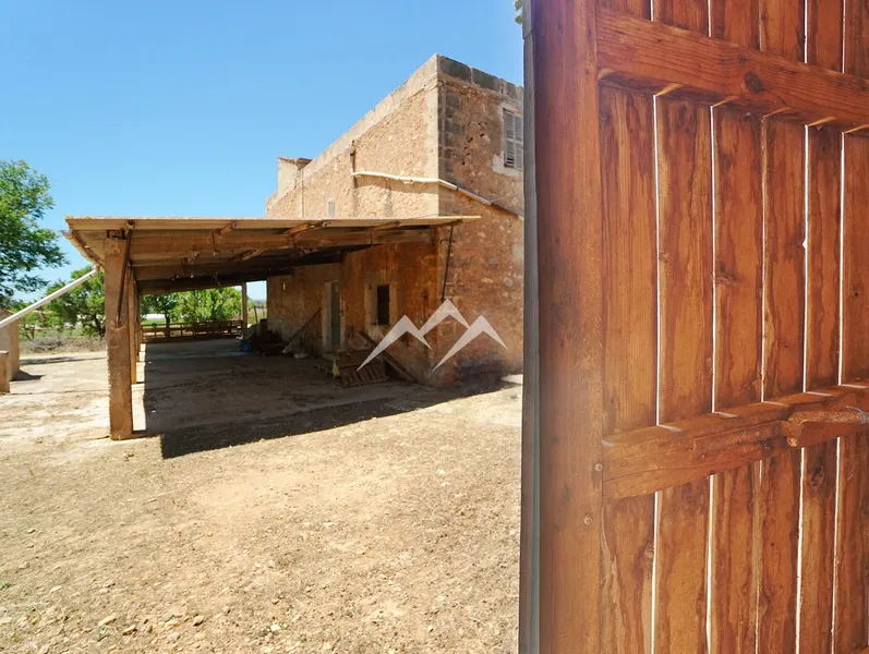 140,000 m2 Estate in Palma — photo 11