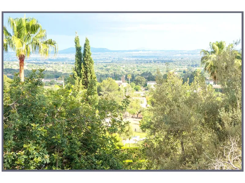 Plot — photo 1