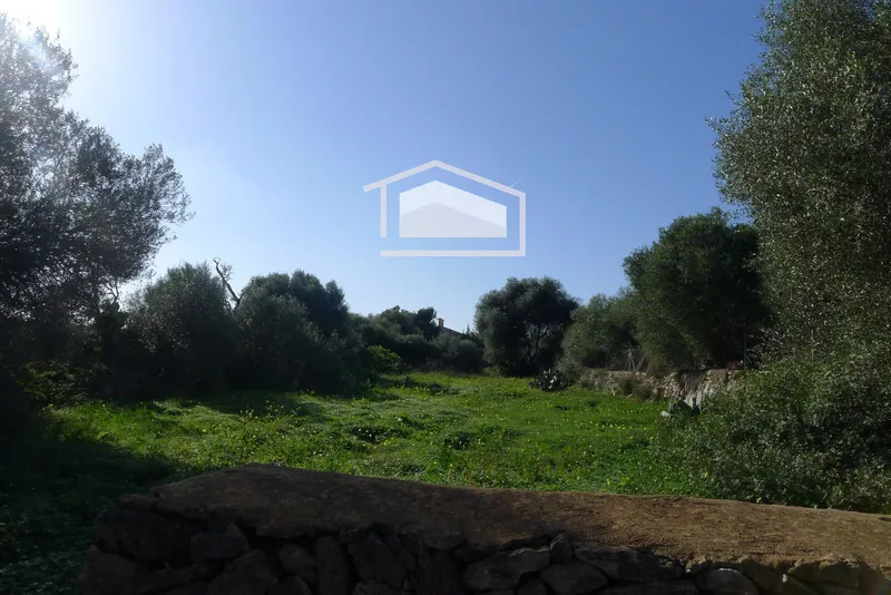 Plot in Ses Salines, 360 m², sea and Cabrera views, pool possible — photo 2