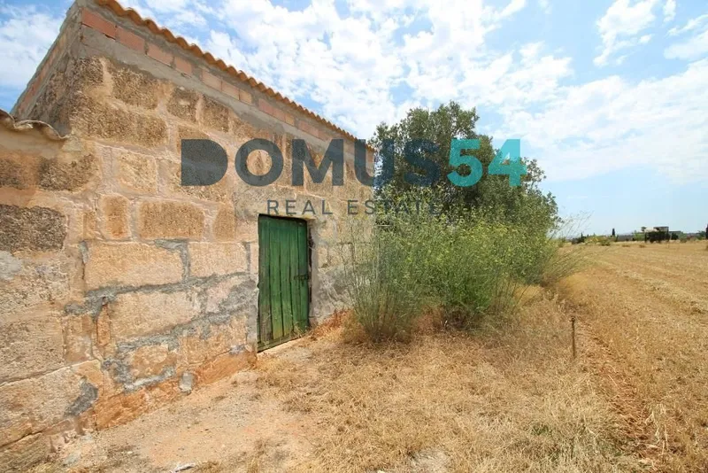 plot in Muro — photo 3