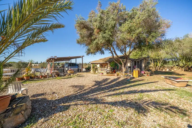 We present this rustic estate in the town of Llucmajor. The land has an area of 24,416 square meters with several buildings — photo 11