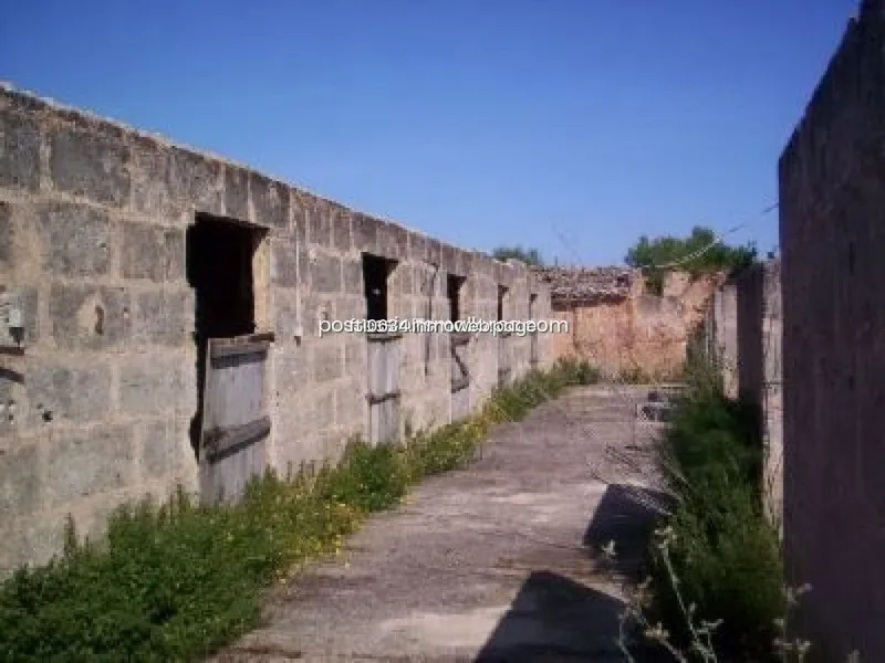 Land in Algaida, Province of Balearic Islands — photo 11