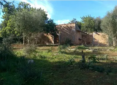 Rustic estate with tool shed — photo 2