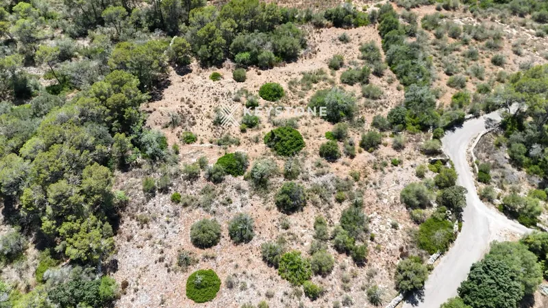 Plot — photo 3