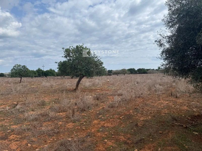Plot — photo 2