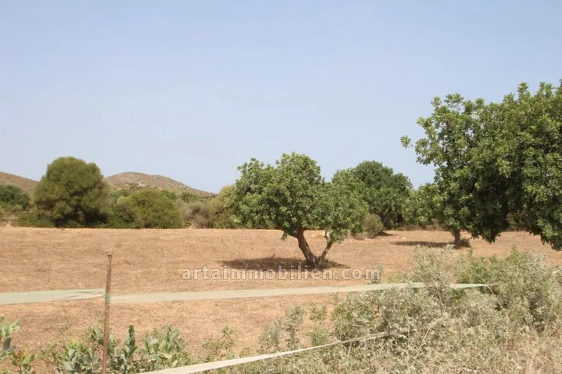 Finca Rustica in Capdepera — photo 1