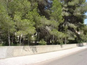 Urban Plot in Canyamel — photo 3