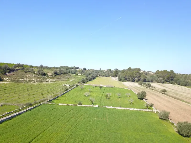 Land in Ariany, Mallorca — photo 3