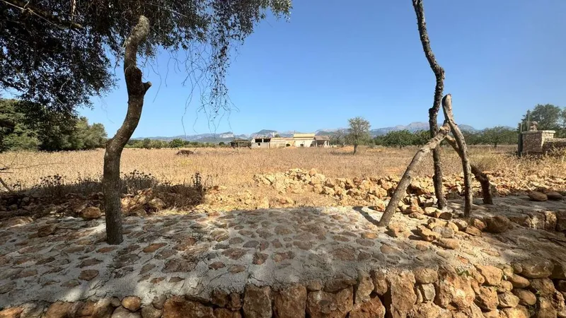 Plot of approximately 47,000m2 with a project of approximately 575m2 in Binissalem — photo 1