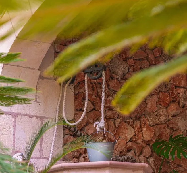 Finca with tourist licence in Costa de los Pinos — photo 11