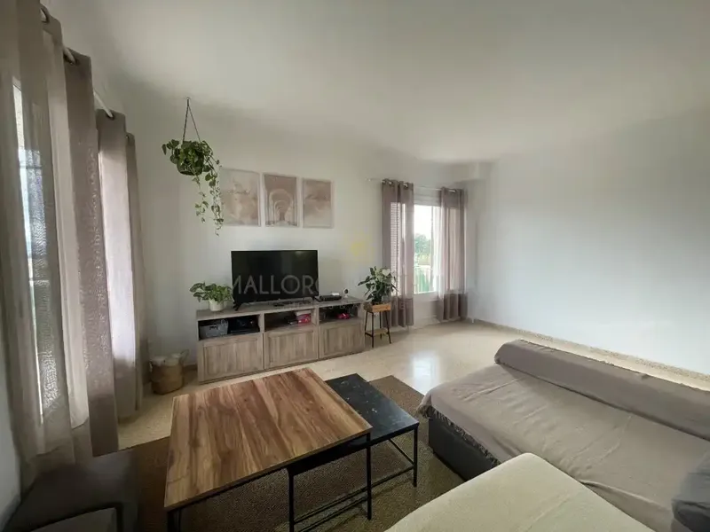 Incredible Opportunity in Puerto de Pollença — photo 8
