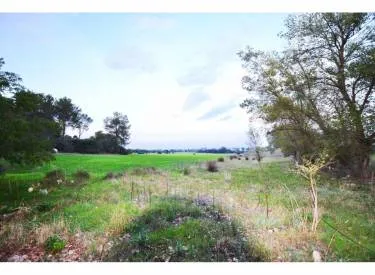 plot in Maria de la Salut — photo 1