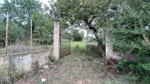 Plot — photo 3