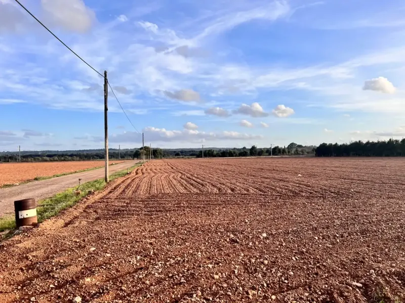 Rustic estate for sale, between Llubí and Muro, about 39,000 m2 of land, with several constructions, a large safareig, an agricultural warehouse and — photo 12