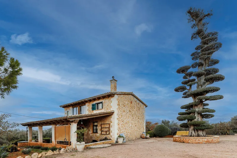 Rustic estate to renovate with farmland in Sencelles — photo 3