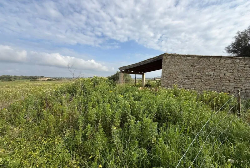 Finca with small house between Manacor and Felanitx — photo 3