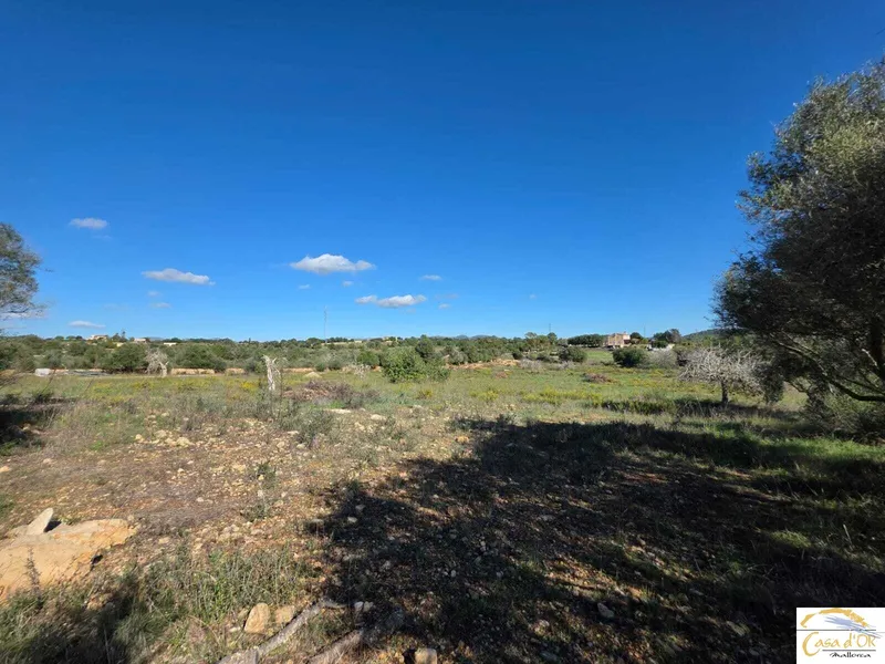 Beautiful building plot with panoramic views and innovative finca project near Porto Cristo — photo 5