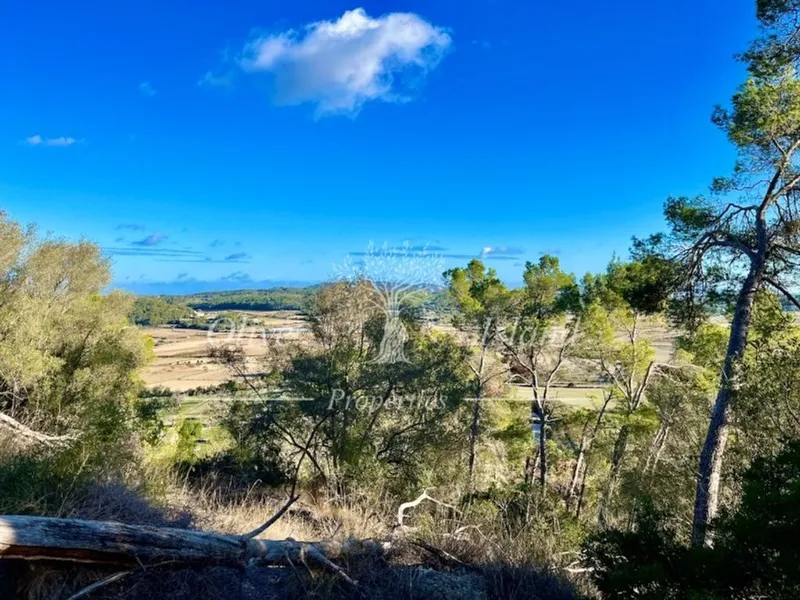 Villa in Sineu, Province of Balearic Islands — photo 11