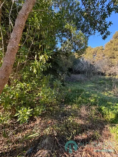 Land — photo 2