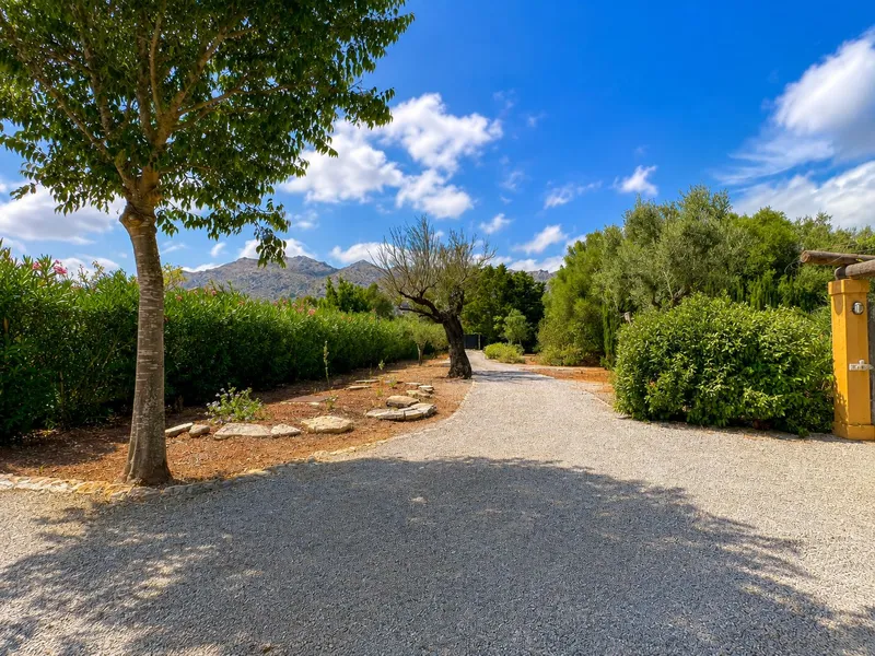 Rustic finca with views, pool, privacy and charm ... — photo 10