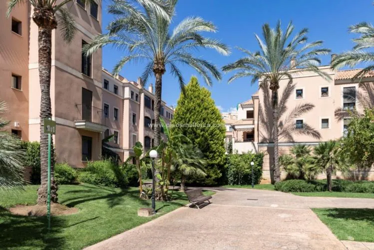 Apartment in Palma de Mallorca — photo 8