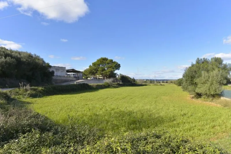 Land for Sale in Manacor — photo 3
