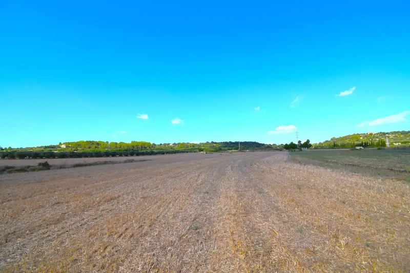 Set of plots totaling 19,622 m2, with the possibility of building a house in a privileged natural environment in Muro — photo 12