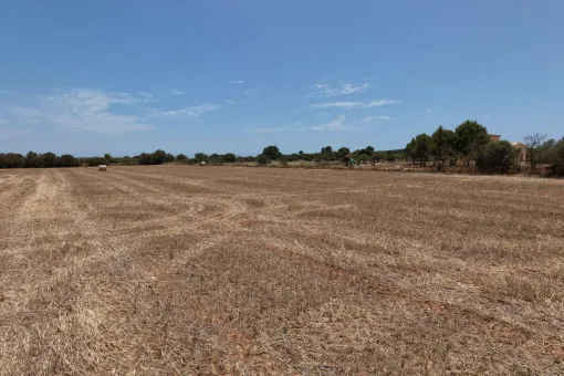 Campos, Attractive Building Plot with Panoramic Open Views near Campos — photo 7