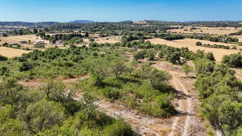 Llubi – Building plot with 35,032 m2 of land without project — photo 4