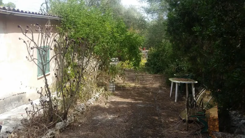For sale: finca with legalized house, water and electricity — photo 11